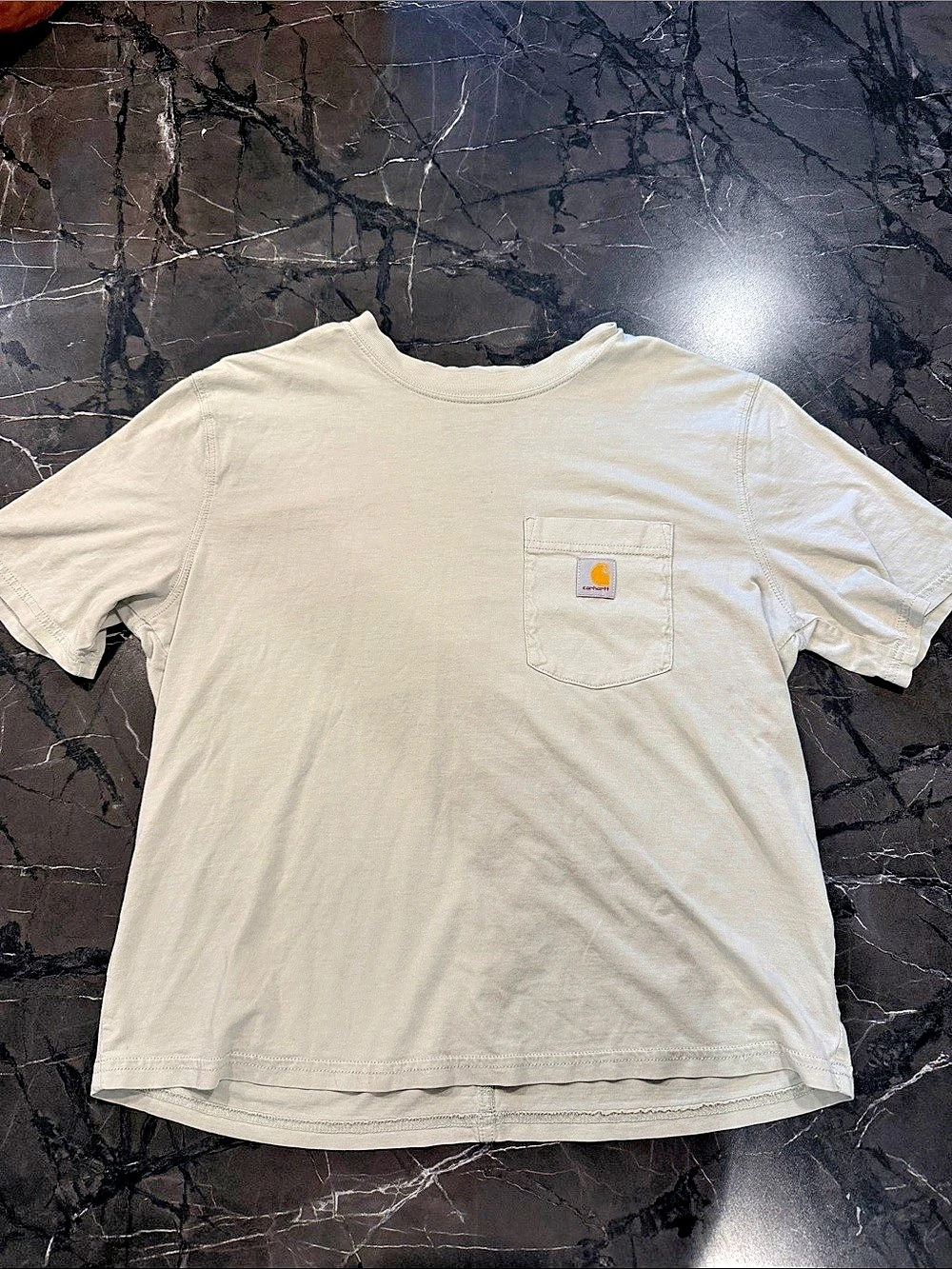 Carhartt Workwear Short Sleeve Pocket T-Shirt in light green